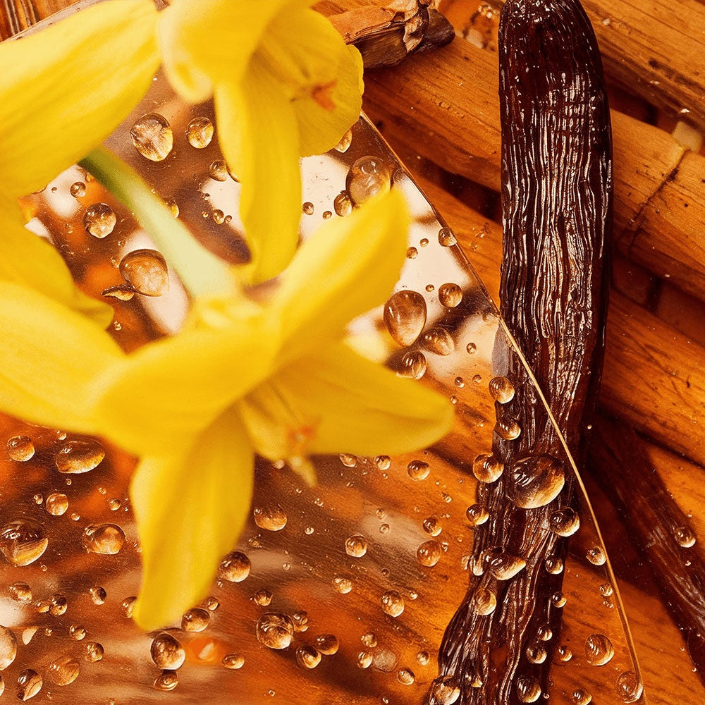 AURELIS Winter Glow Tallow Balm – Limited Holiday Edition