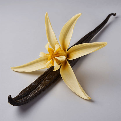 AURELIS Winter Glow Tallow Balm – Limited Holiday Edition