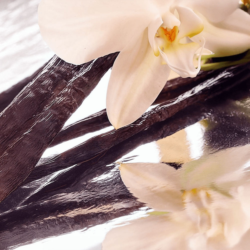 AURELIS Winter Glow Tallow Balm – Limited Holiday Edition