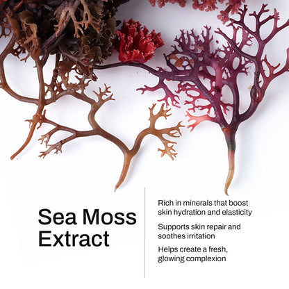 Manuka Honey & Sea Moss – Limited Winter Edition